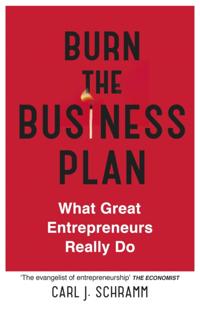 Burn The Business Plan