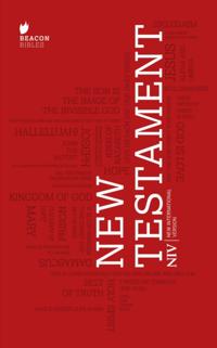 New International Version