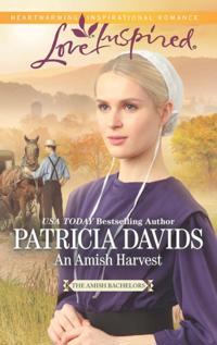 Amish Bachelors