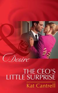 Ceo's Little Surprise