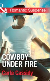 Cowboys of Holiday Ranch