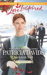 Amish Bachelors