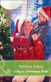 Boy's Christmas Wish