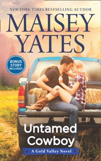 Gold Valley Novel