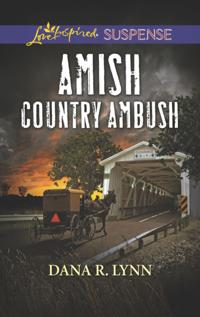 Amish Country Justice