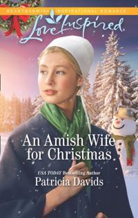 Amish Wife For Christmas
