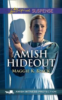 Amish Witness Protection