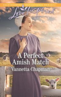 Perfect Amish Match