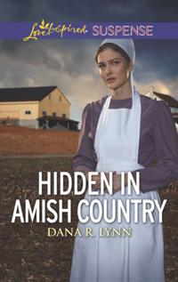Amish Country Justice