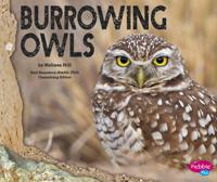 Burrowing Owls