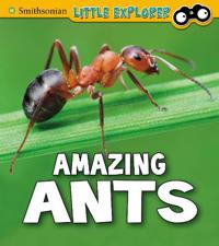 Bokomslag for "Amazing Ants"