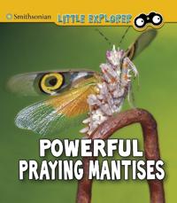 Bokomslag for "Powerful Praying Mantises"