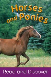 Read and Discover