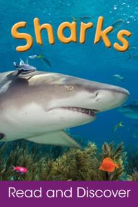 Sharks