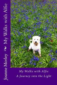 My Walks with Alfie: A Journey into the Light