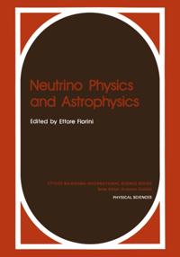 Ettore Majorana International Science Series