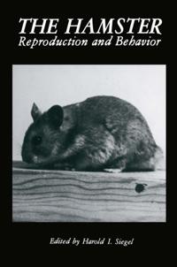 Hamster