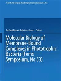 Molecular Biology of Membrane-Bound Complexes in Phototrophic Bacteria