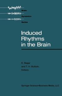 Brain Dynamics