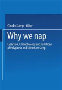 Why We Nap