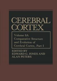 Cerebral Cortex