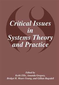 Critical Issues in Systems Theory and Practice