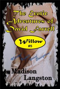 Erotic Adventures of David Farrell (Willow)