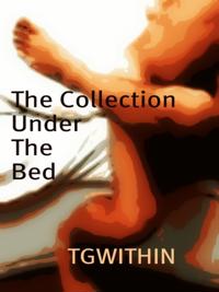 Collection Under the Bed