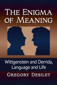 The Enigma of Meaning