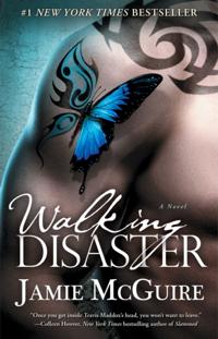 Beautiful Disaster Series