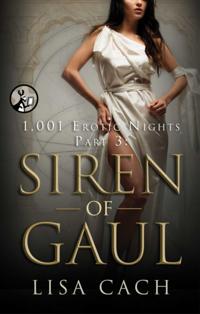 The 1,001 Erotic Nights Series