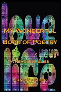 My Wonderful Book of Poetry Vol. Iv