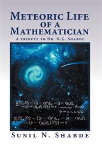 Bokomslag for "Meteoric Life of a Mathematician"