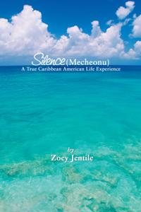 Silence (Mecheonu)