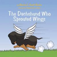 Dachshund Who Sprouted Wings