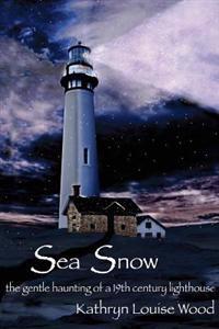 Sea Snow