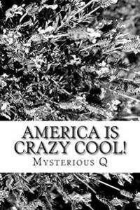 America is CRAZY COOL!