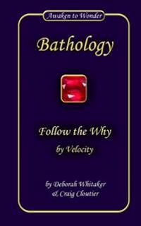 Follow the Why: by Velocity
