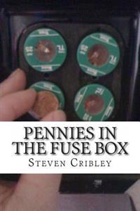 Pennies IN The Fusebox: An Anti-Epic Poem