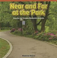 Near and Far at the Park