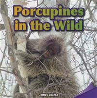 Porcupines in the Wild