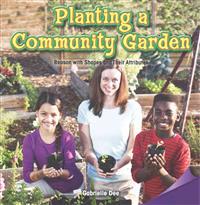 Planting a Community Garden: Reason with Shapes and Their Attributes