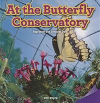 At the Butterfly Conservatory: Represent and Interpret Data