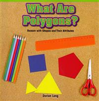 What Are Polygons?: Reason with Shapes and Their Attributes