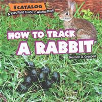 How to Track a Rabbit