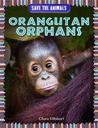 Orangutan Orphans