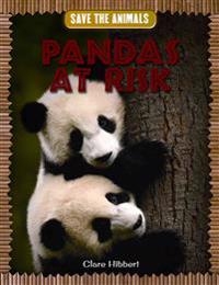Pandas at Risk