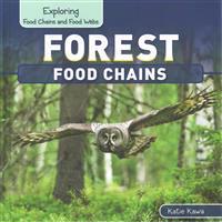 Forest Food Chains