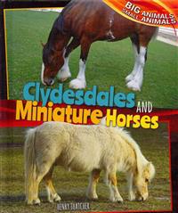 Clydesdales and Miniature Horses