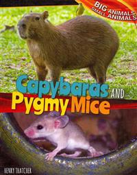 Capybaras and Pygmy Mice